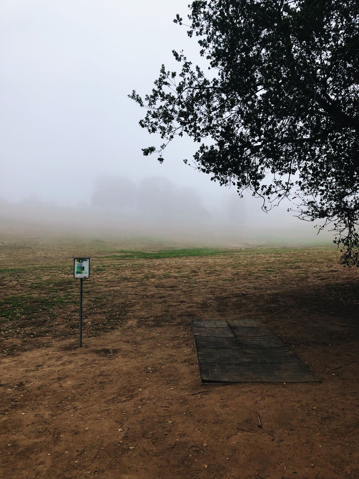 Hole 9 Tee box @ 5:30pm 11/5