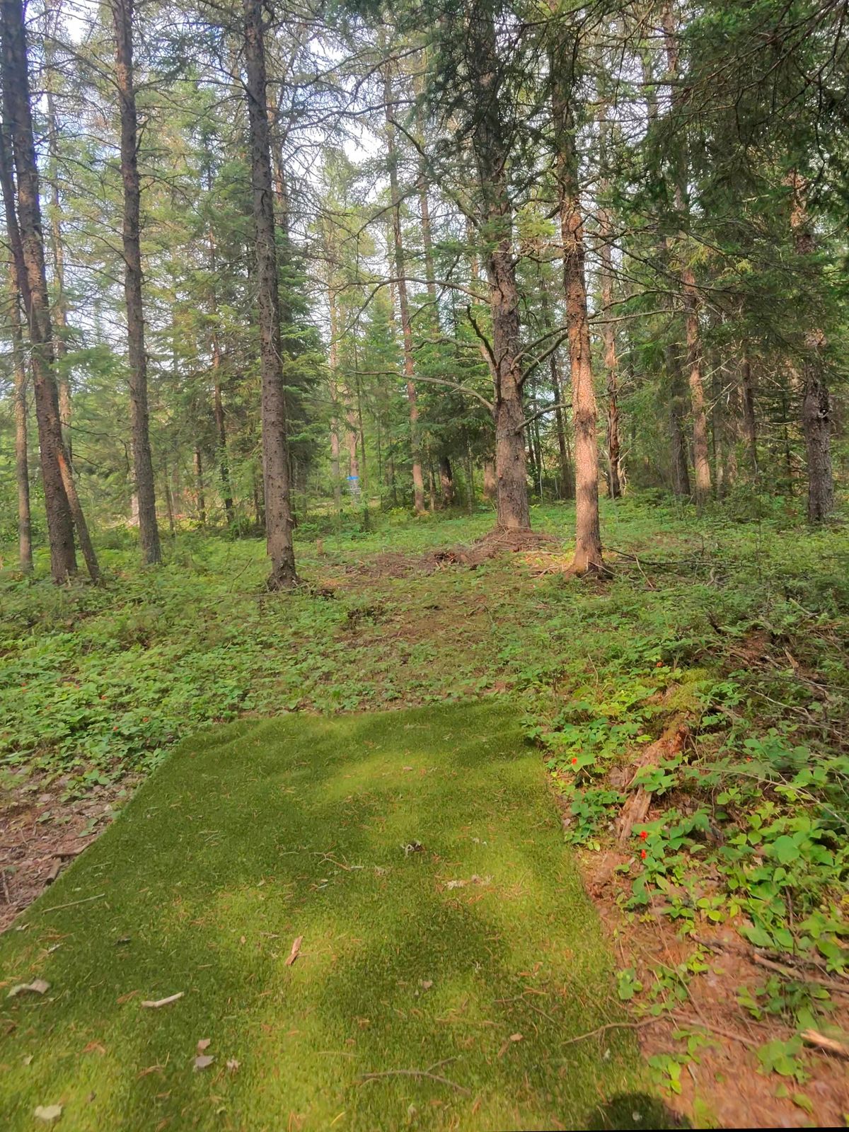 Find the line on hole 9