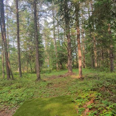 Find the line on hole 9