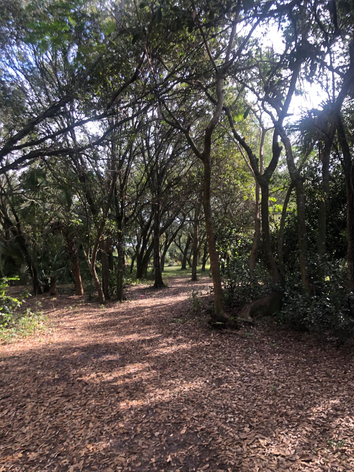 Hole 5