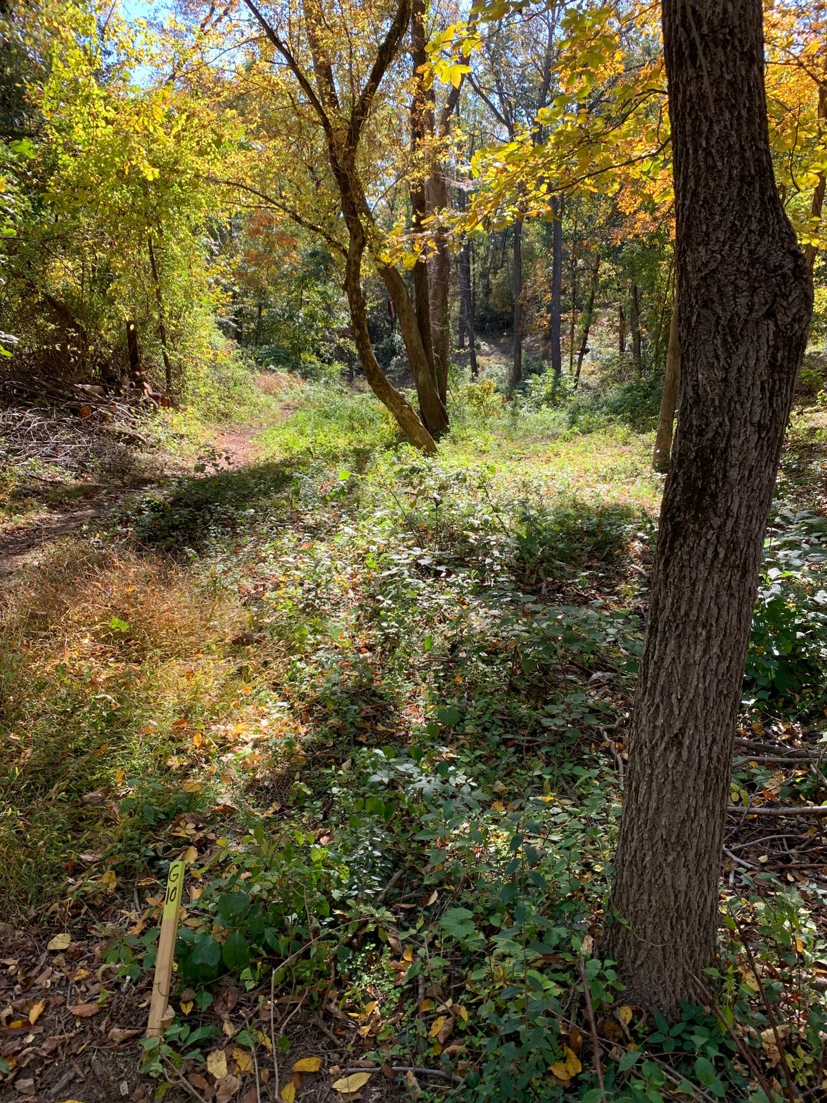 Hole 10