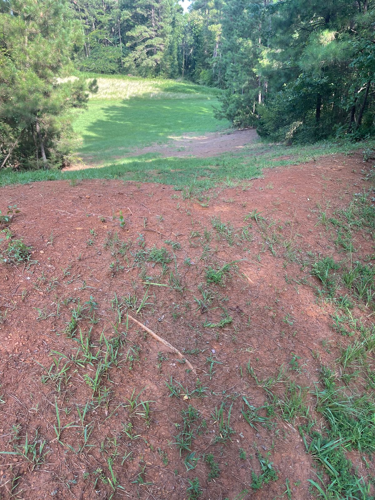 Hill looking down.  Hole to the right once in grassy area