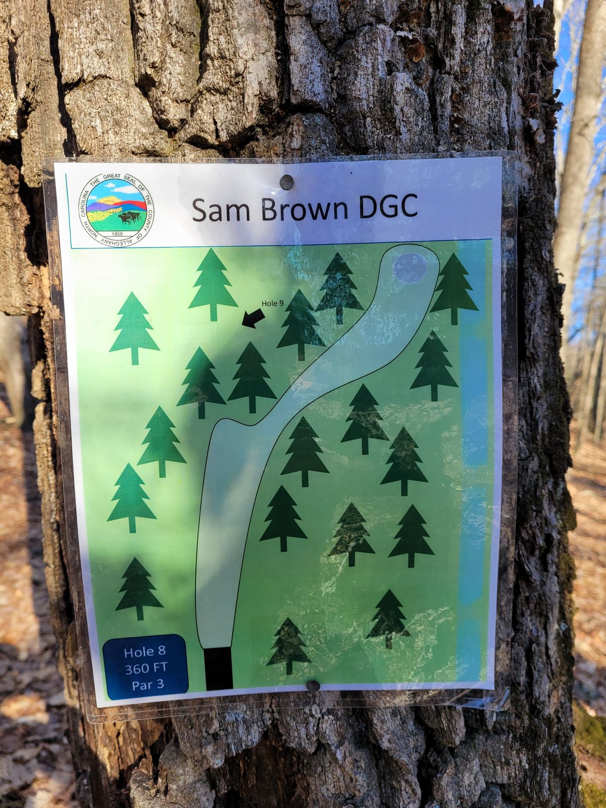 Hole #8 map