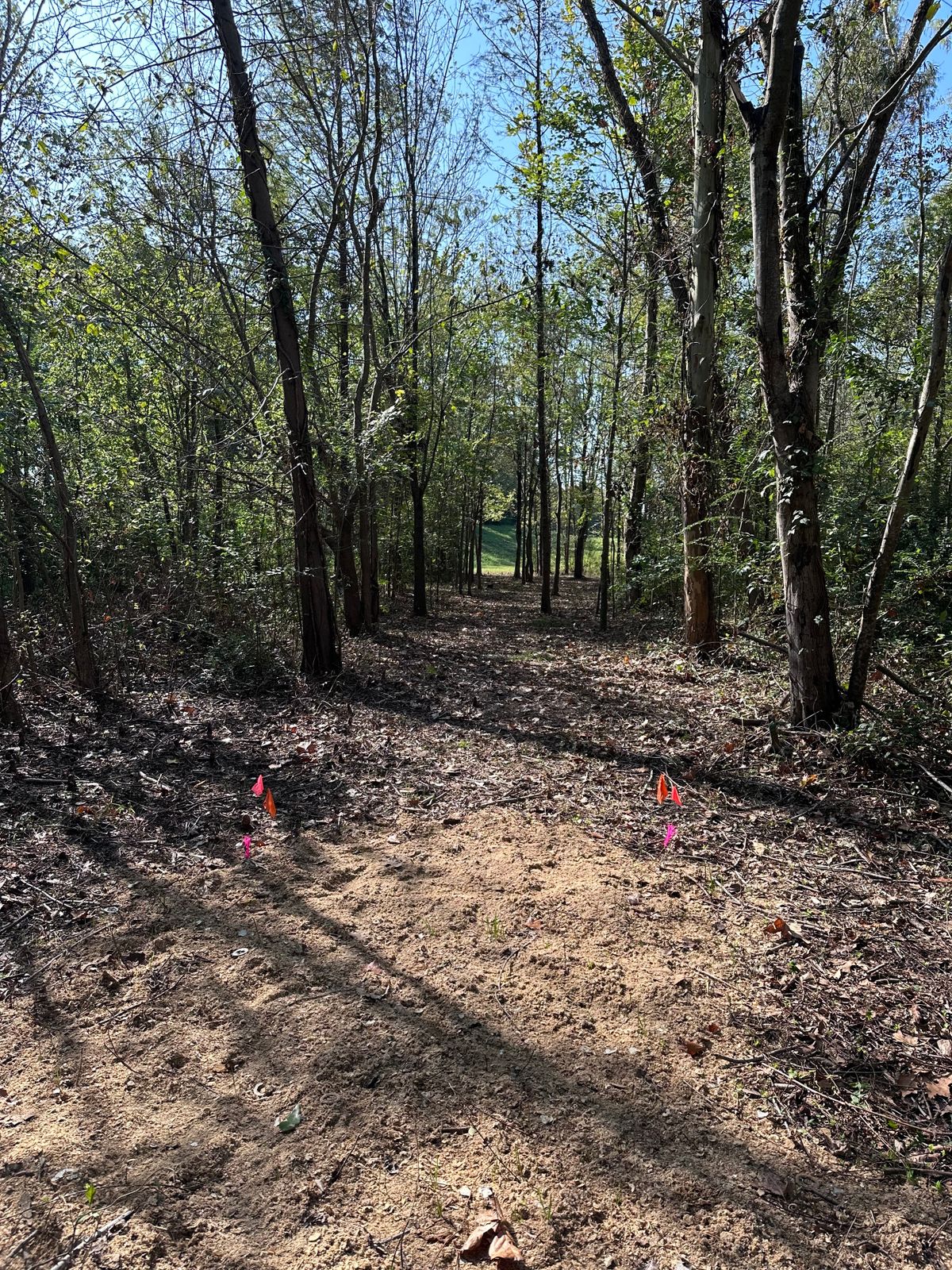 Hole 5 tee