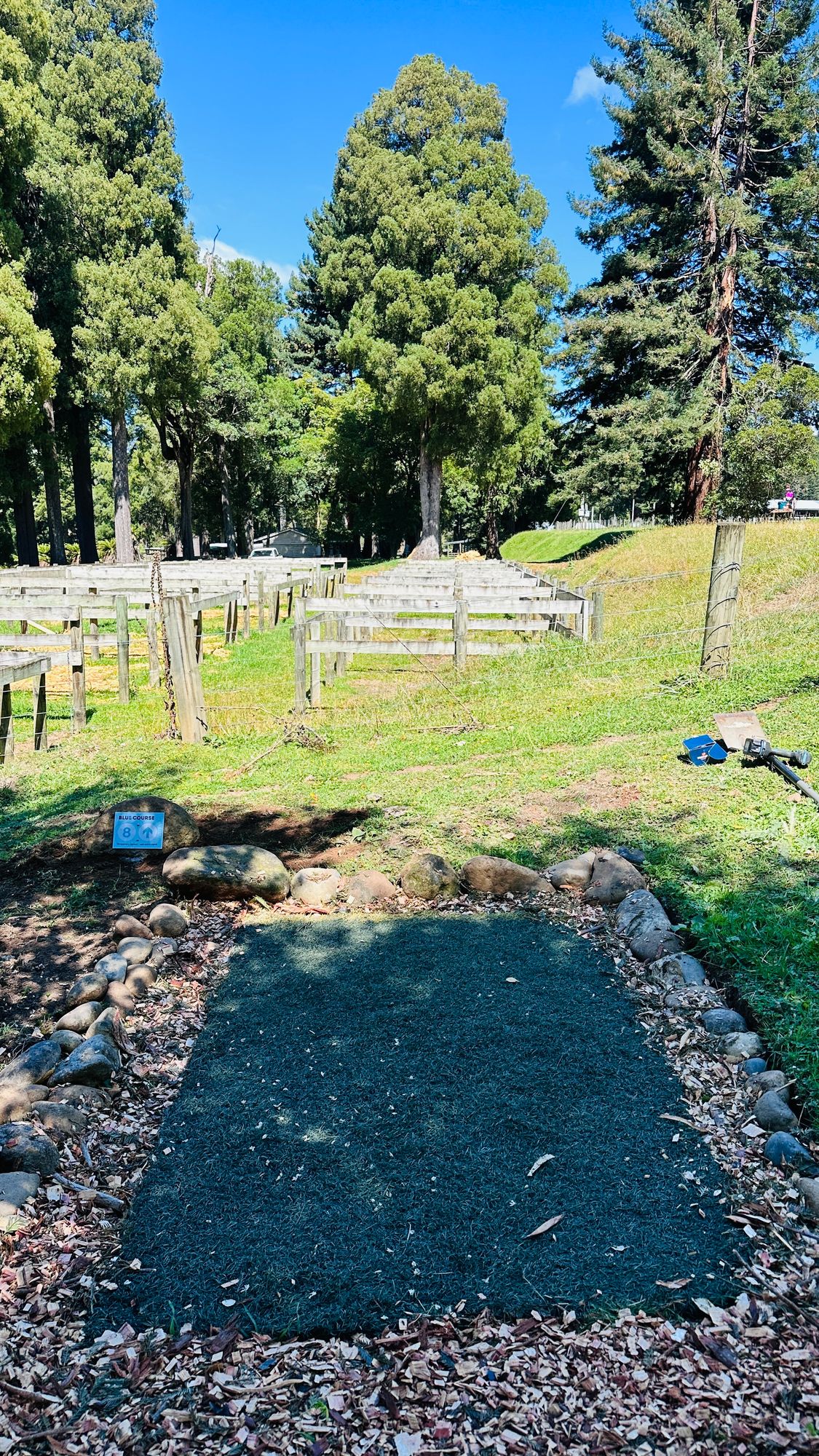 Temp tees on the Blue Layout - still pretty sweet to play from and some of the best holes around!