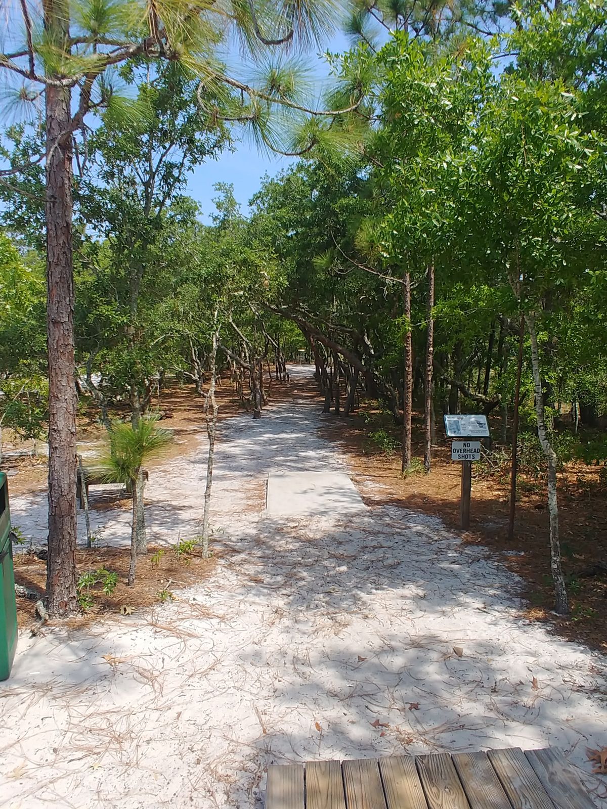 Hole #8/ #17