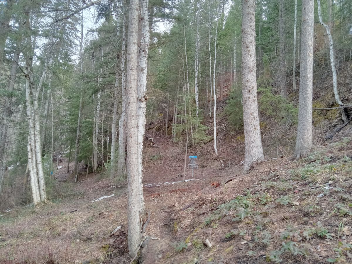 Hole 8 hidden from tee pad. A really special hole and birdie to get 🐦