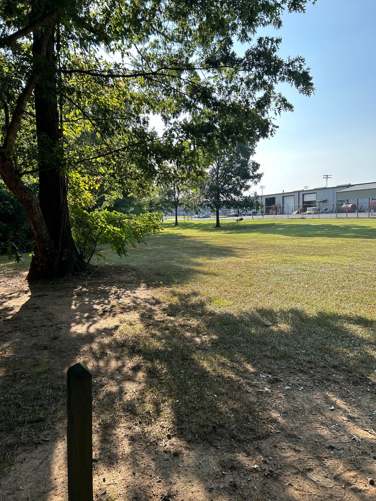 Hole 7 Tee