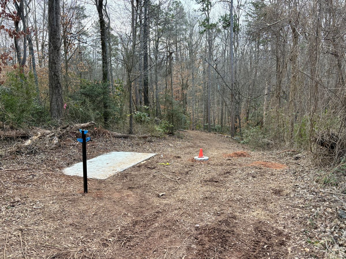 Hole 5 Tee