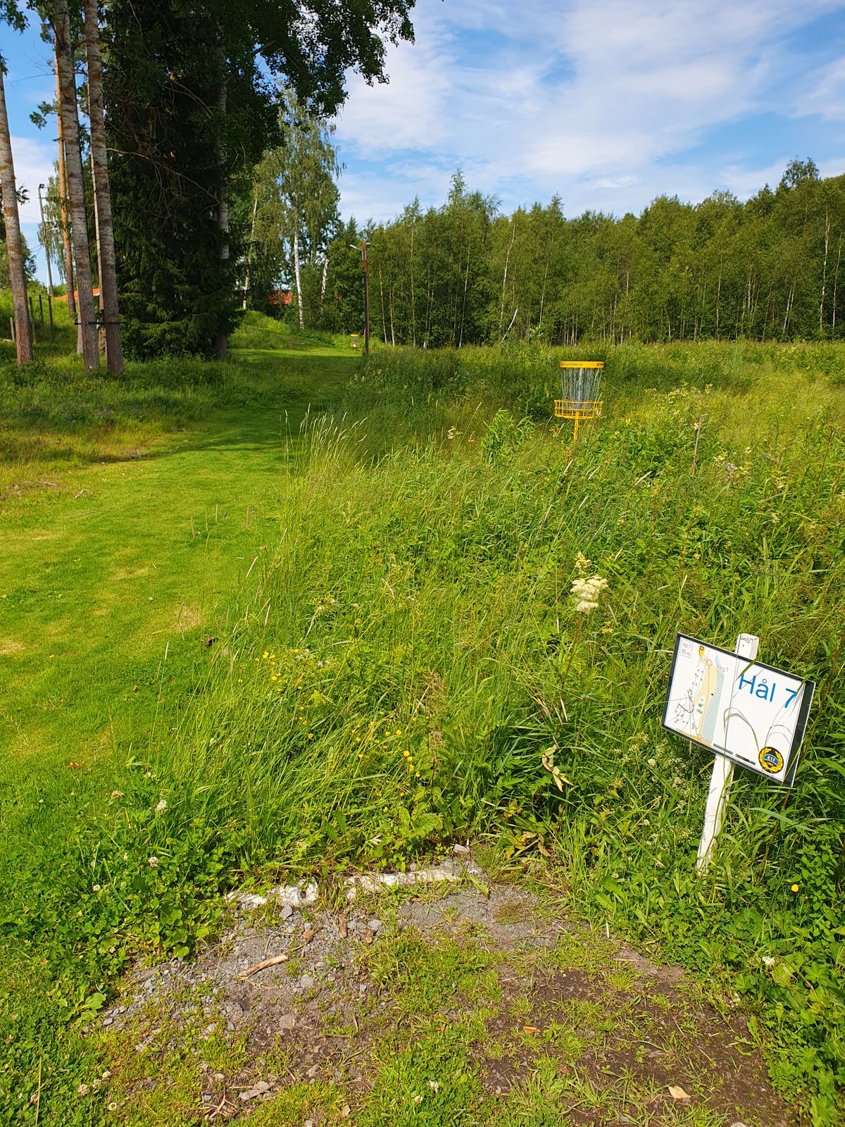 Hål 7