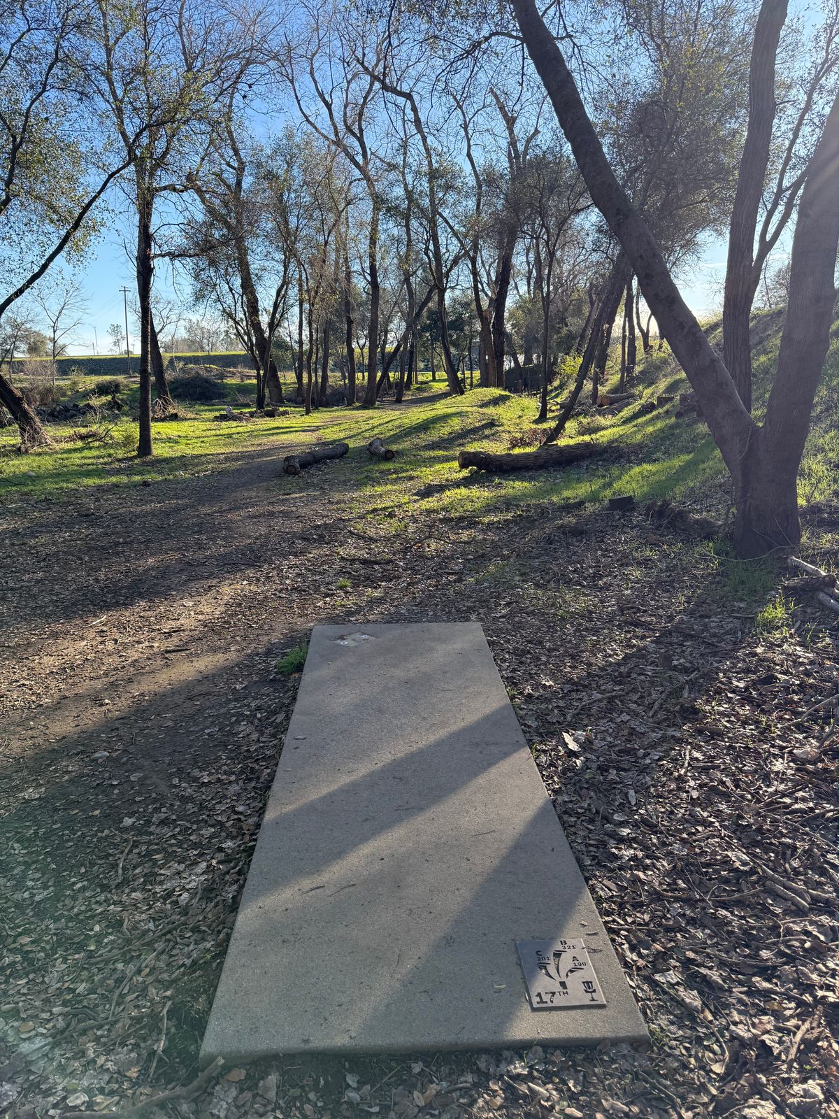 Hole 17