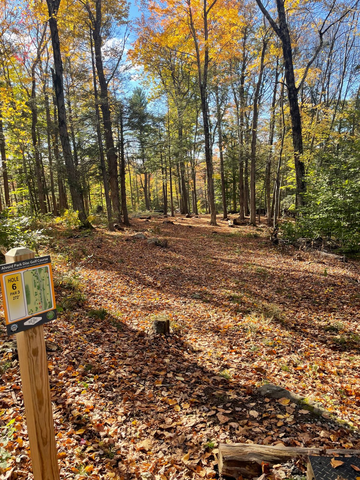 Hole 6