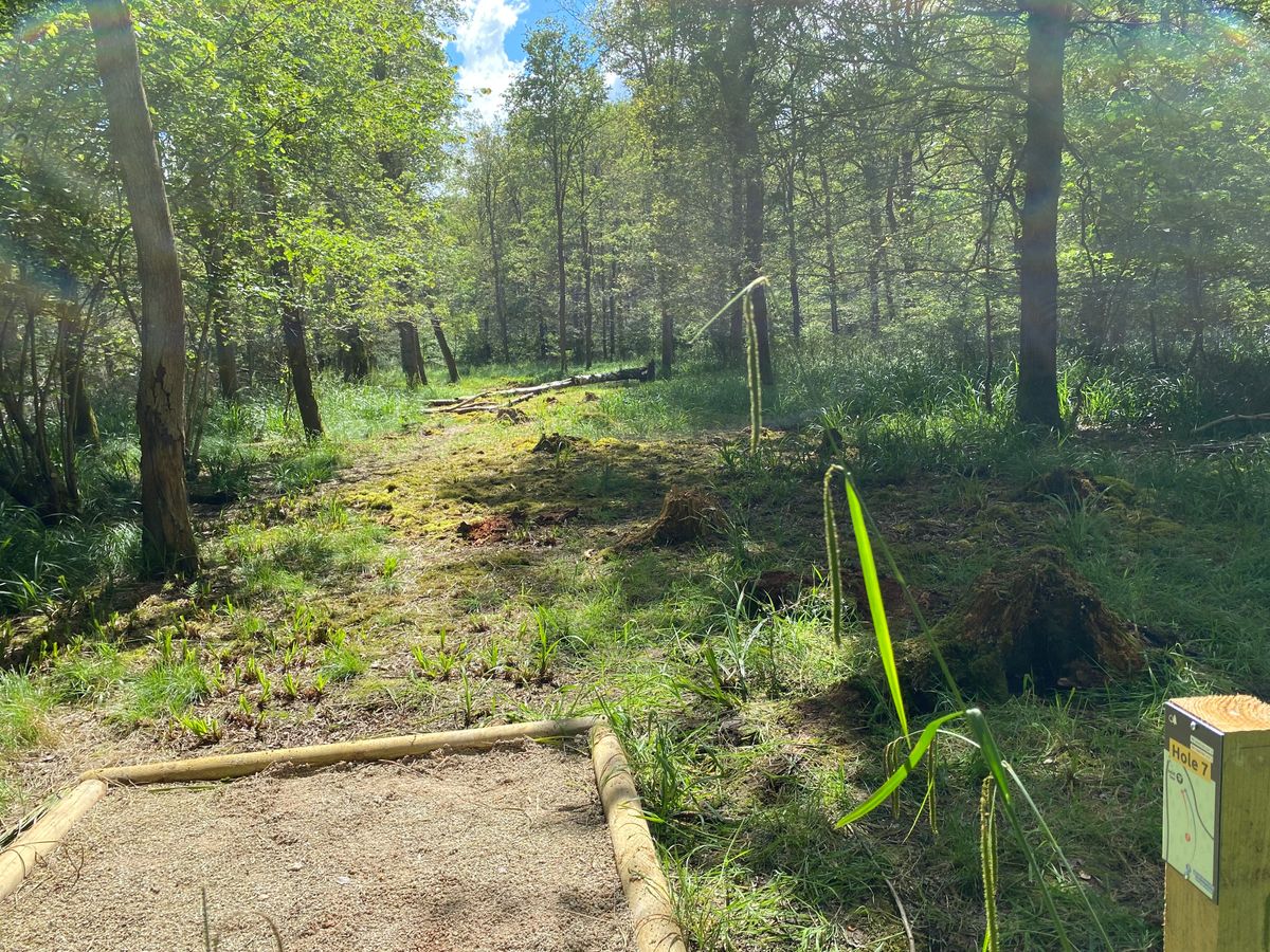 Hole 7 - Long