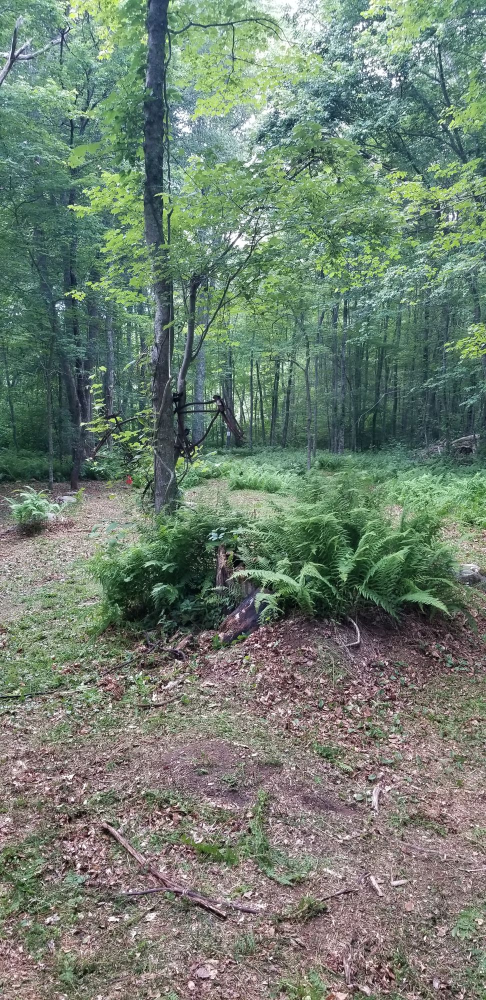 Hole 6