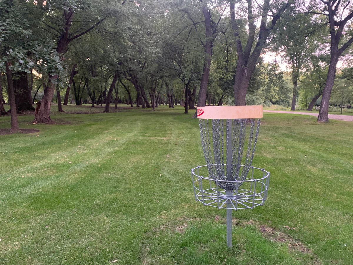 Hole 5 basket looking back towards tee pad.