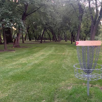 Hole 5 basket looking back towards tee pad.