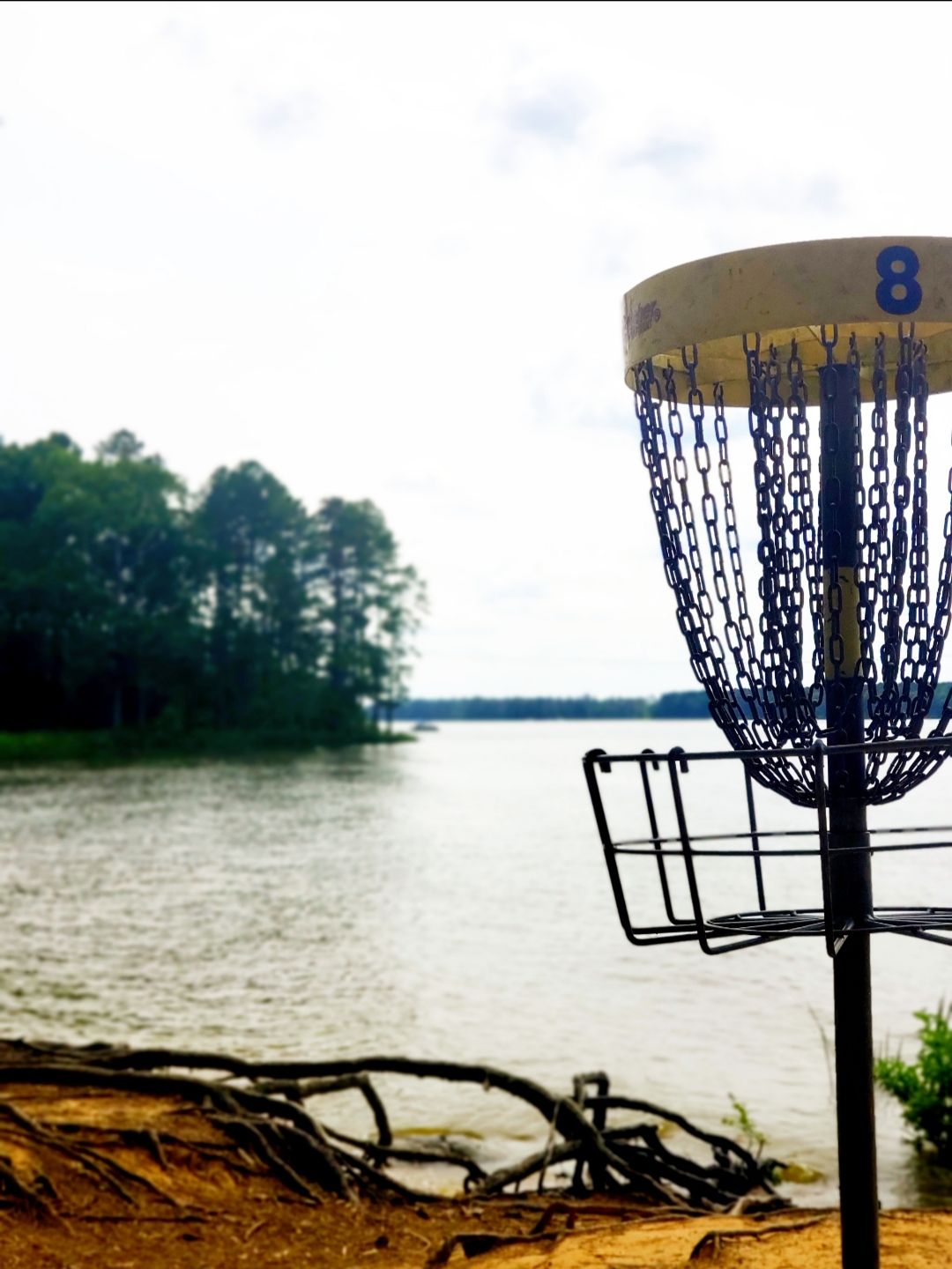 Hole 8 rests on a heart-stopping bank, any overshot here and your disc is in the drink.