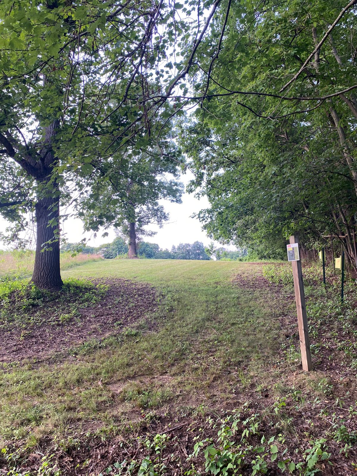 Hole 14 tee