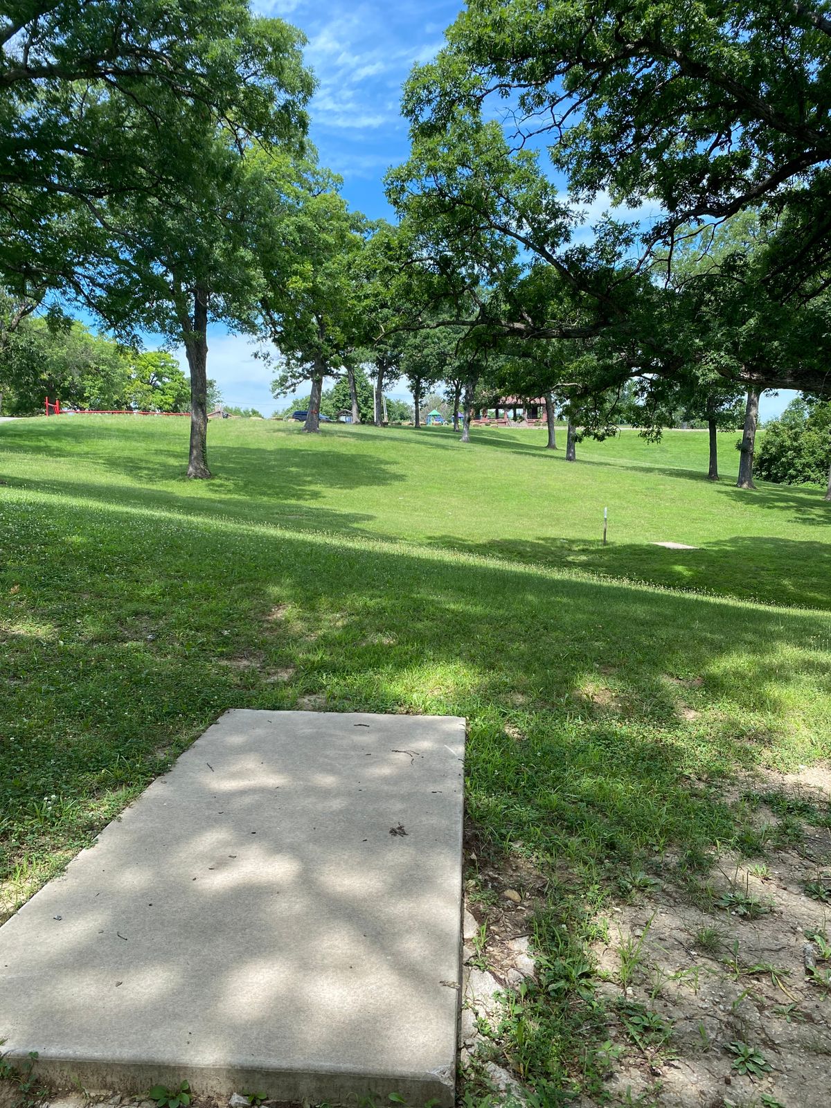 Hole 5 Alternate Long Tee