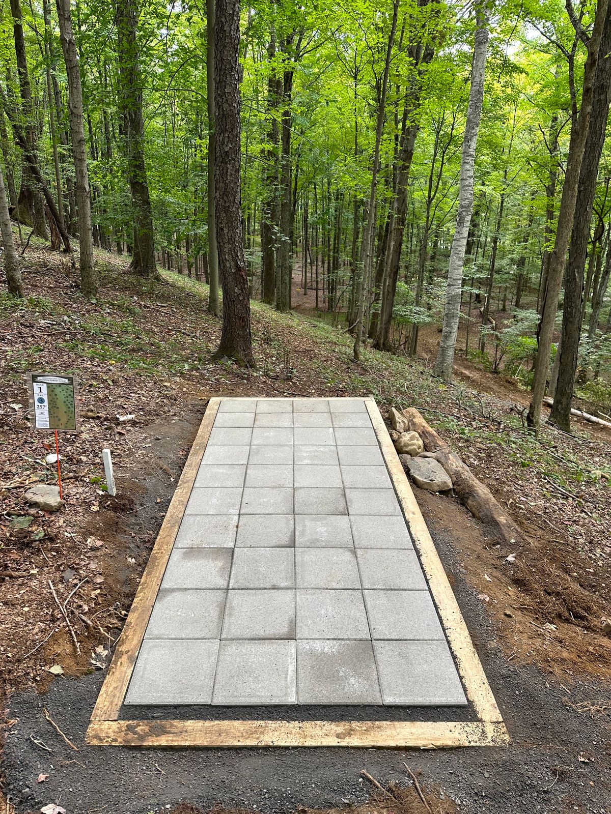 Hole 5 (1 of the Forest Loop)