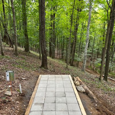 Hole 5 (1 of the Forest Loop)