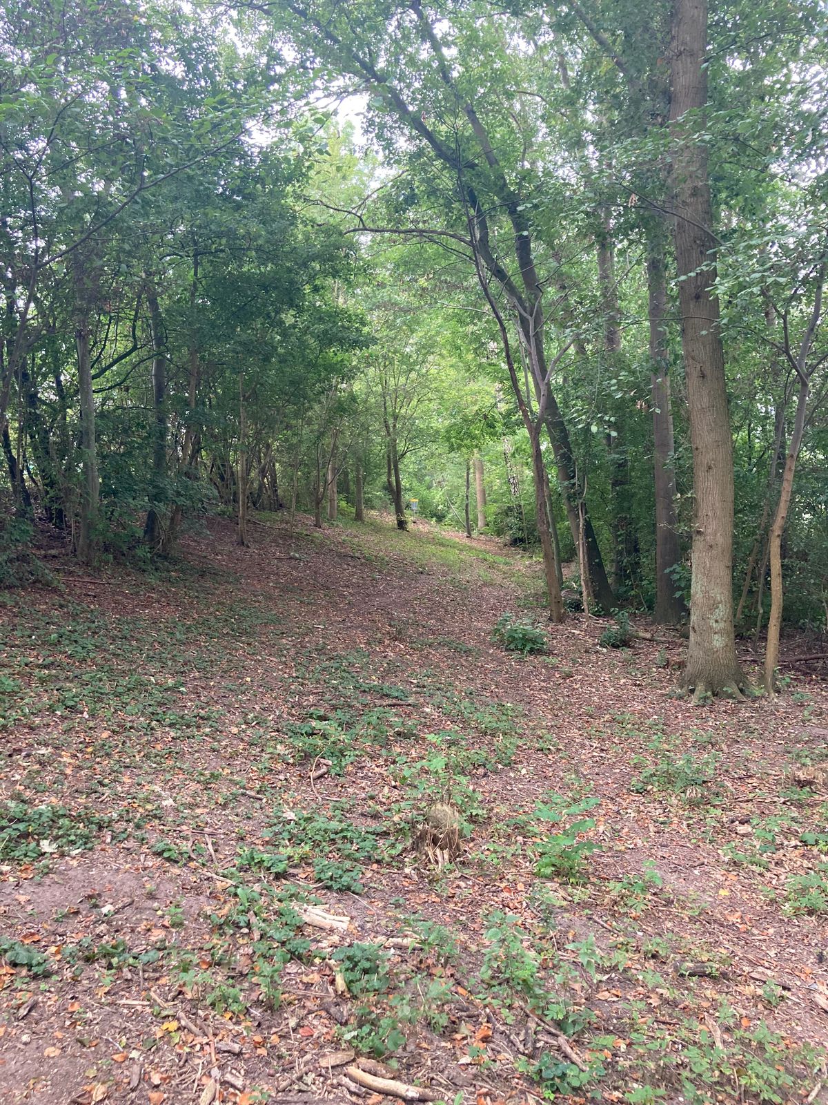 Hole 16