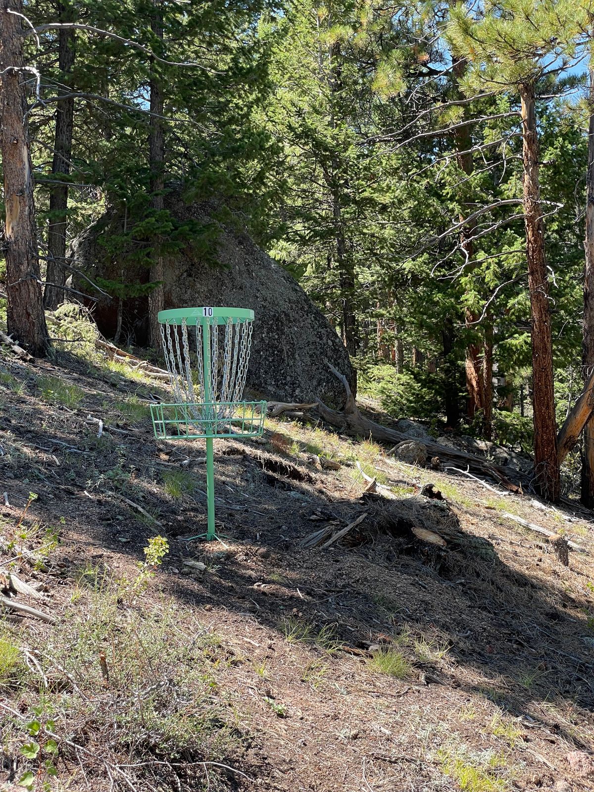 Hole 10 basket
