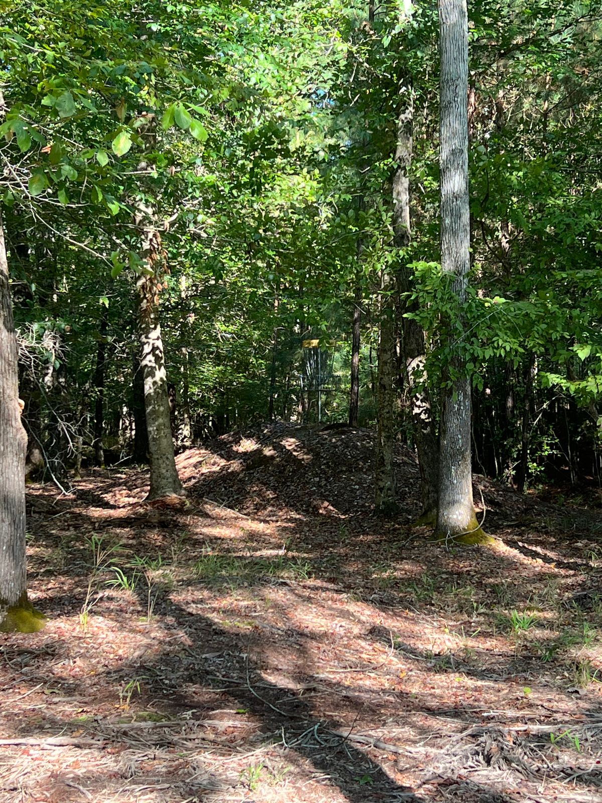 Hole 5 basket