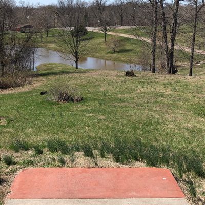 Hole15 - basket across lake.