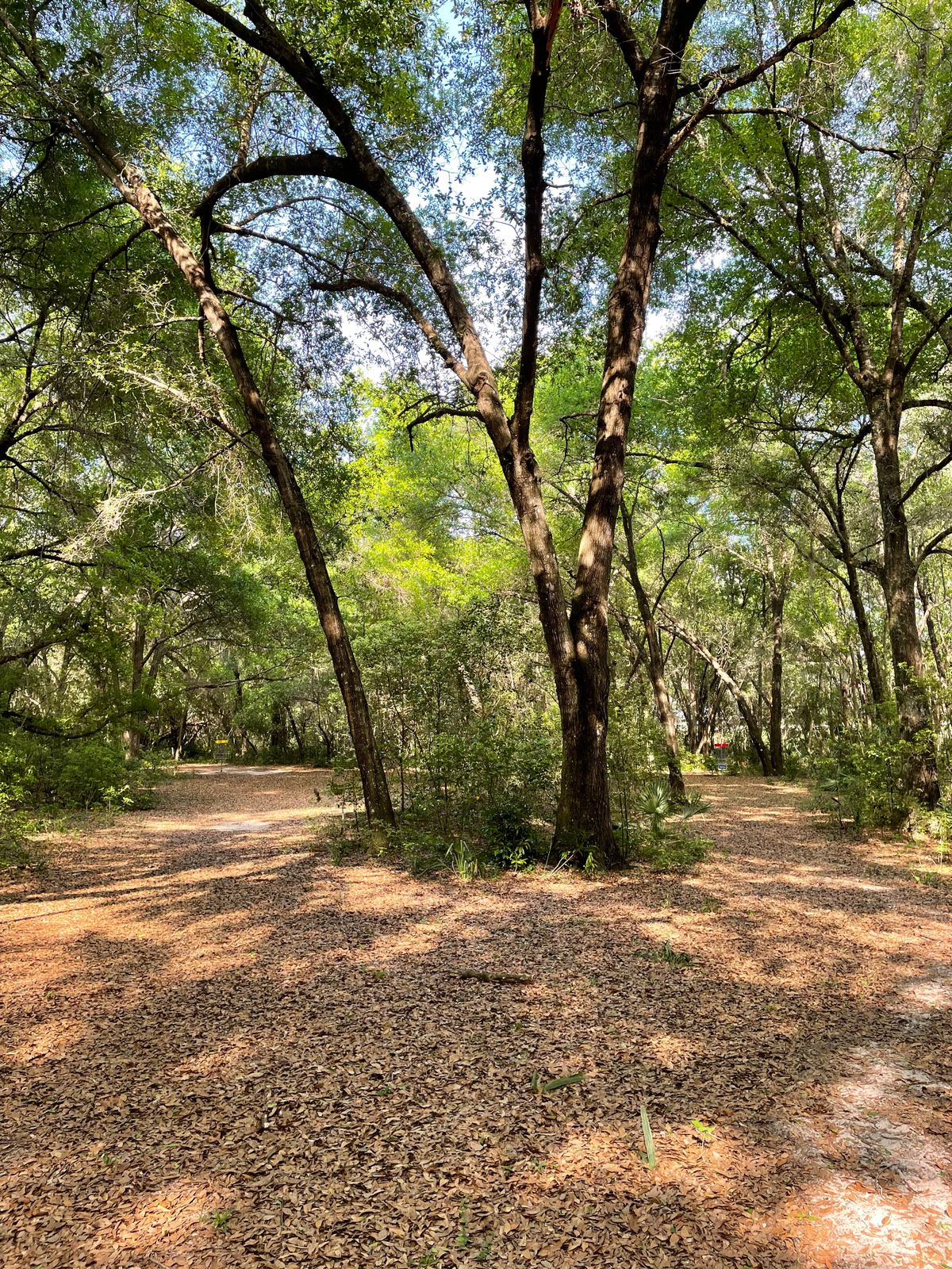 Hole 7