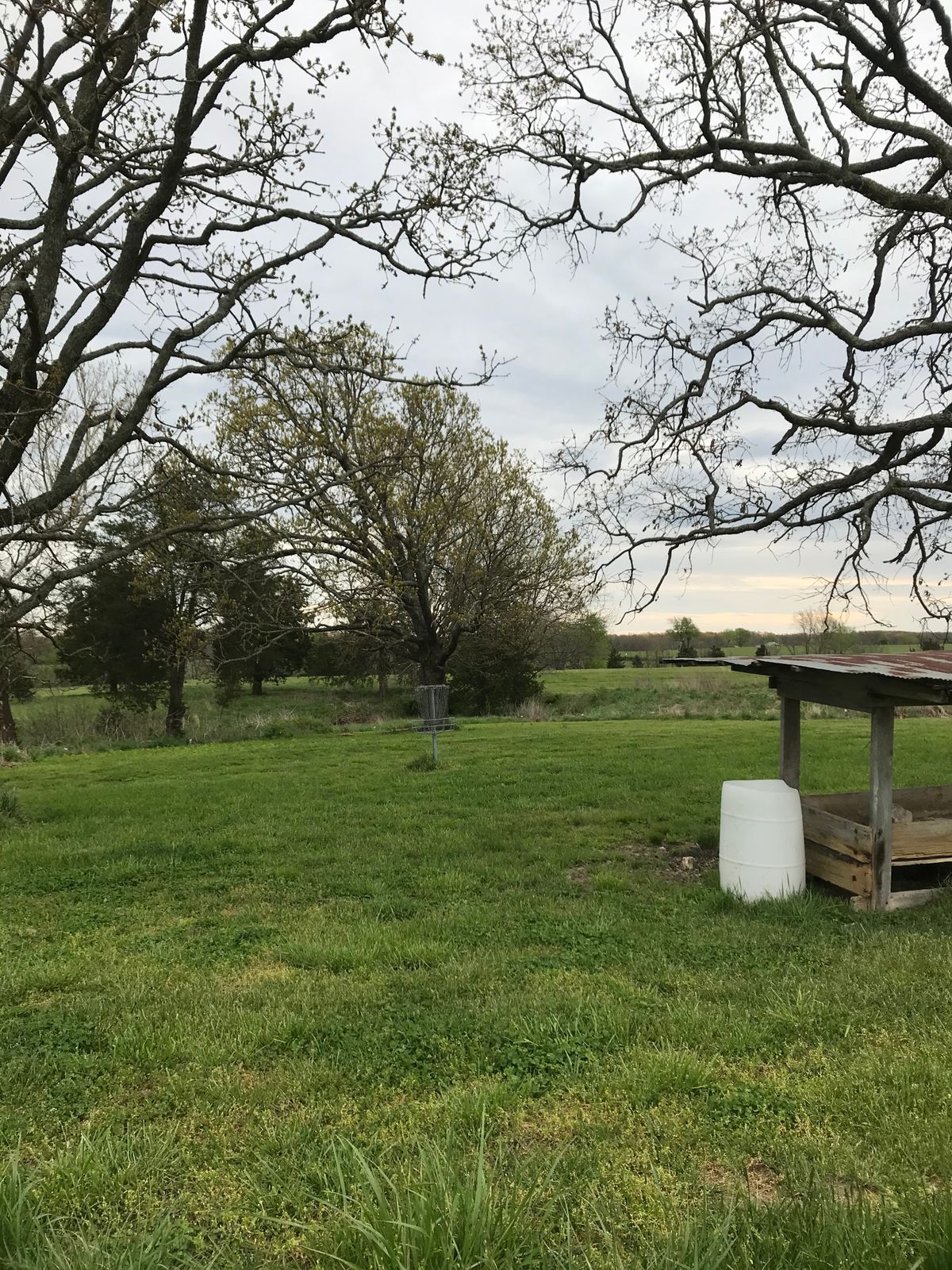 Hole 9 basket
