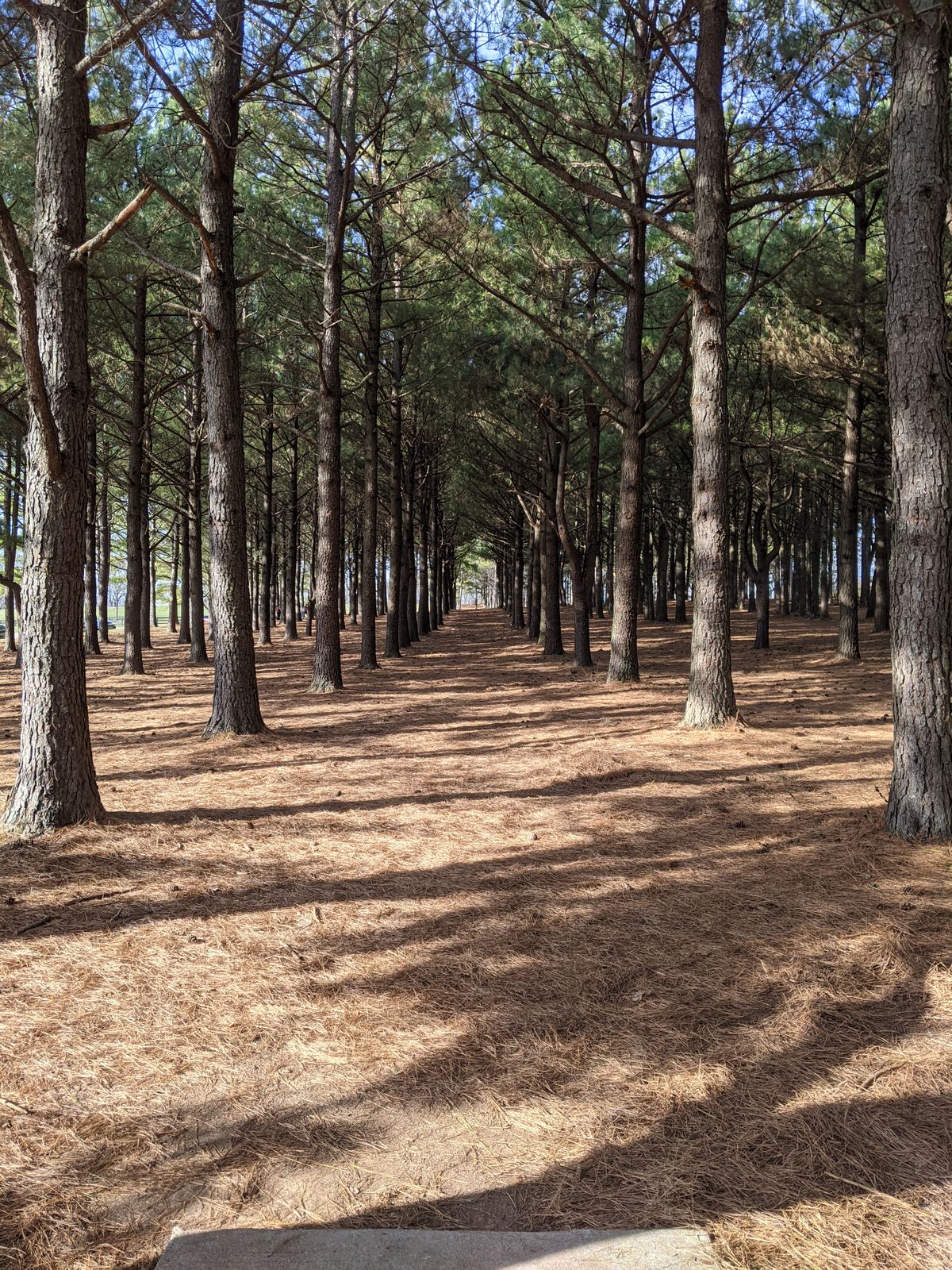 Hole 3 from the tee