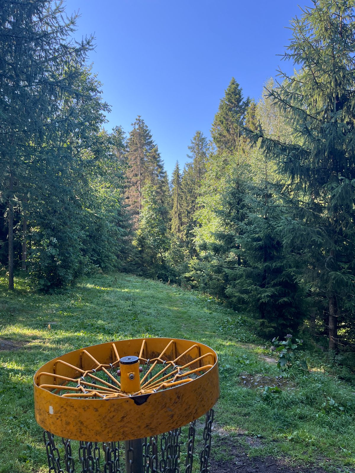 Hole 4, basket to tee