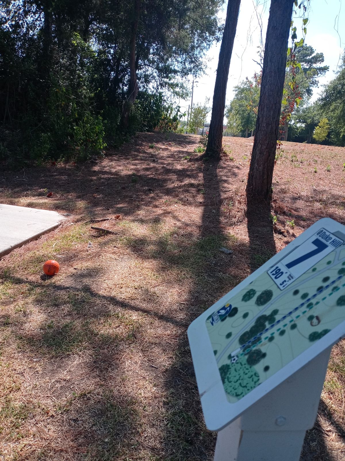 Hole 7