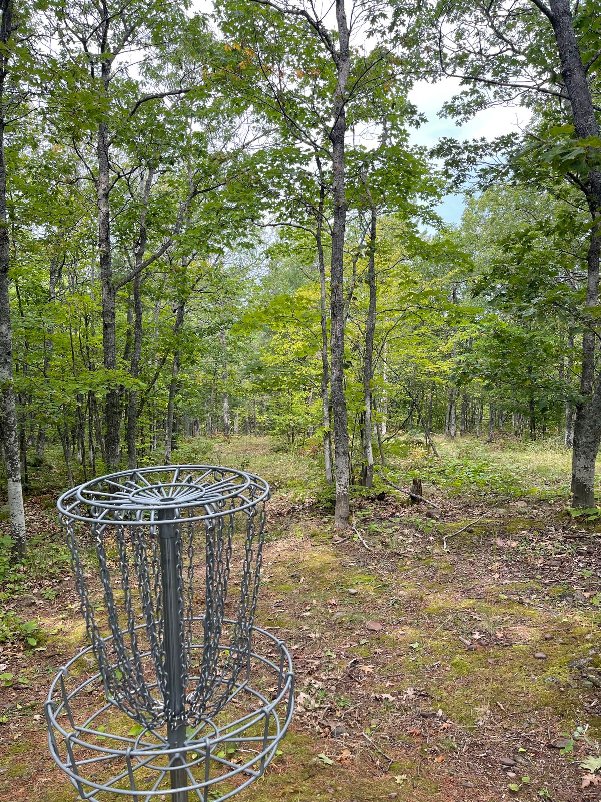 View from 6 green