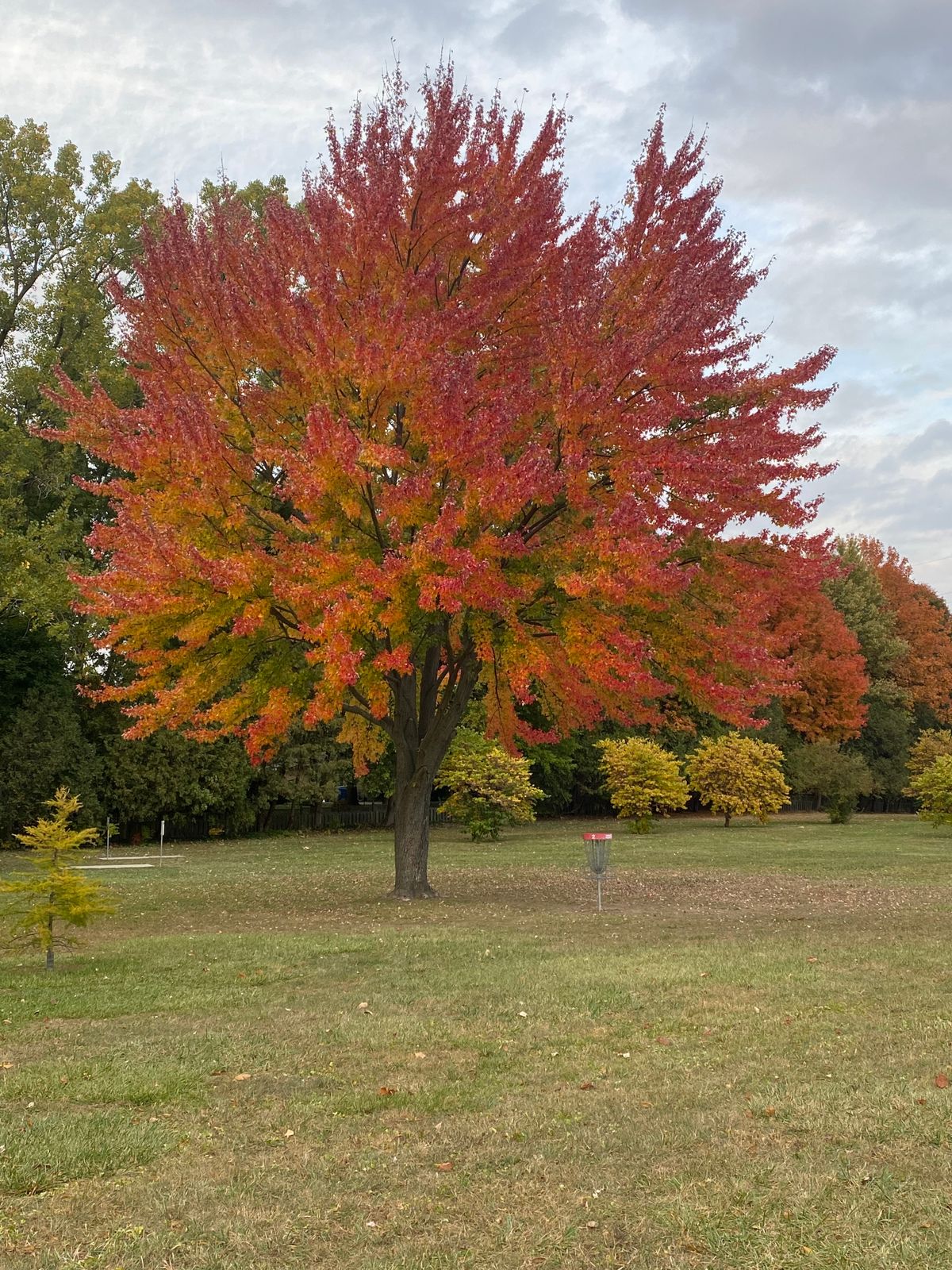 Fall colors featuring hole 3 basket.