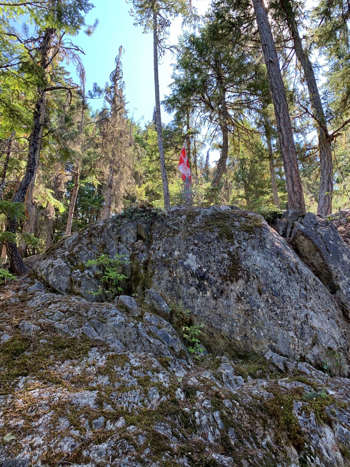 Whistler Disc Golf Course