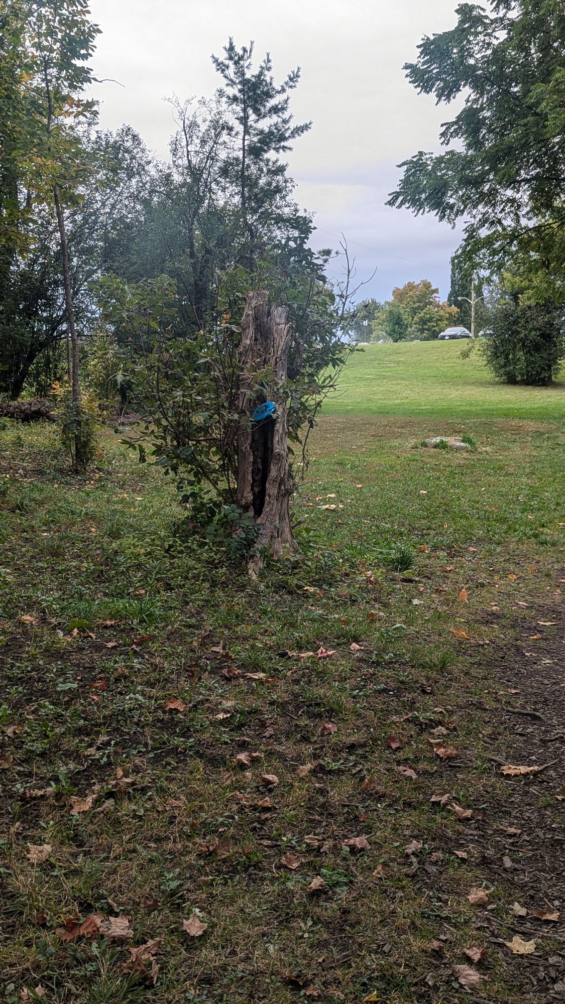 A perfect place to land
