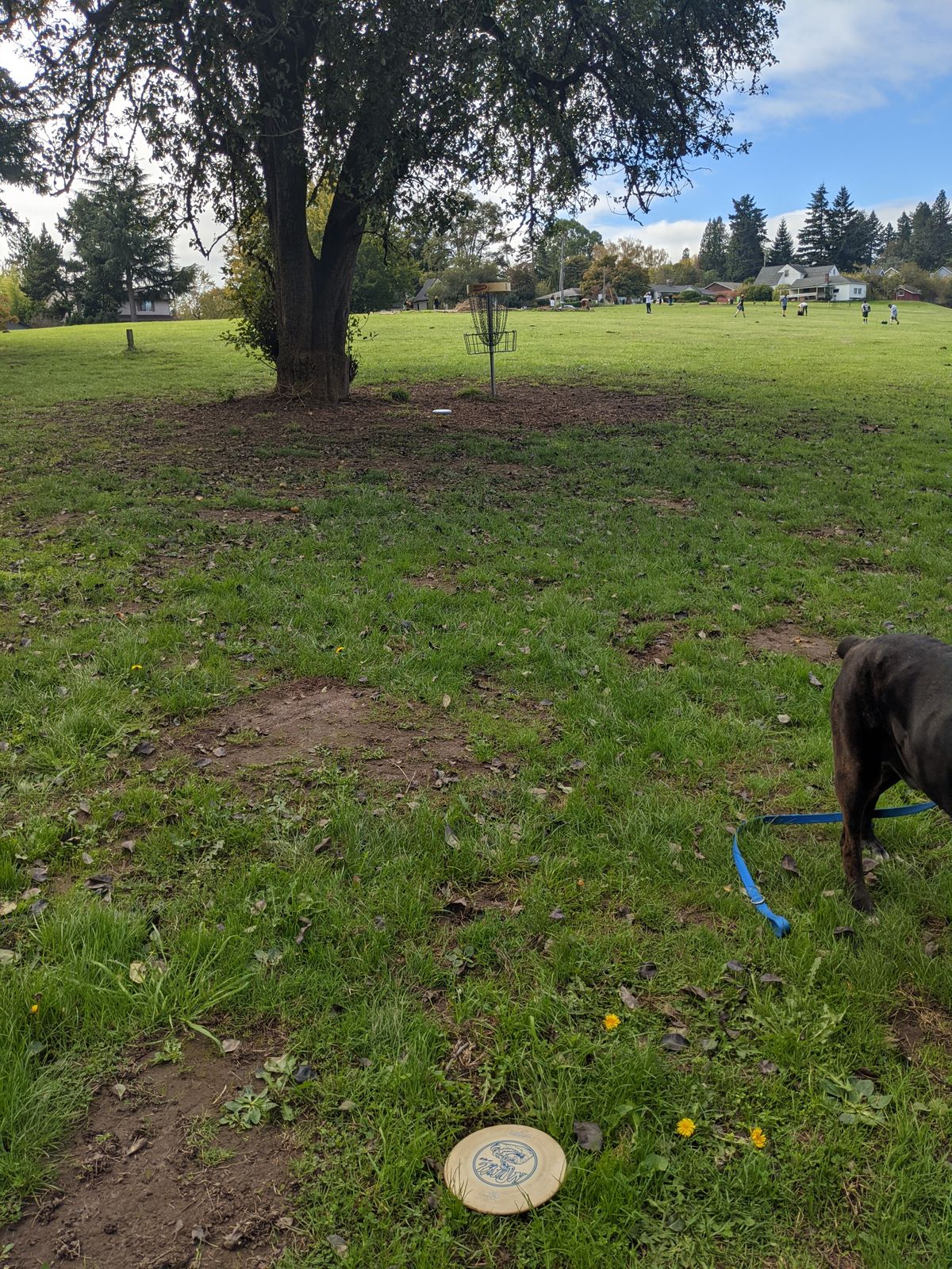 Hole 12