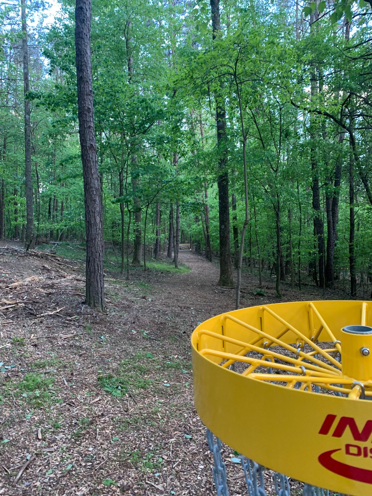 Basket Hole #12