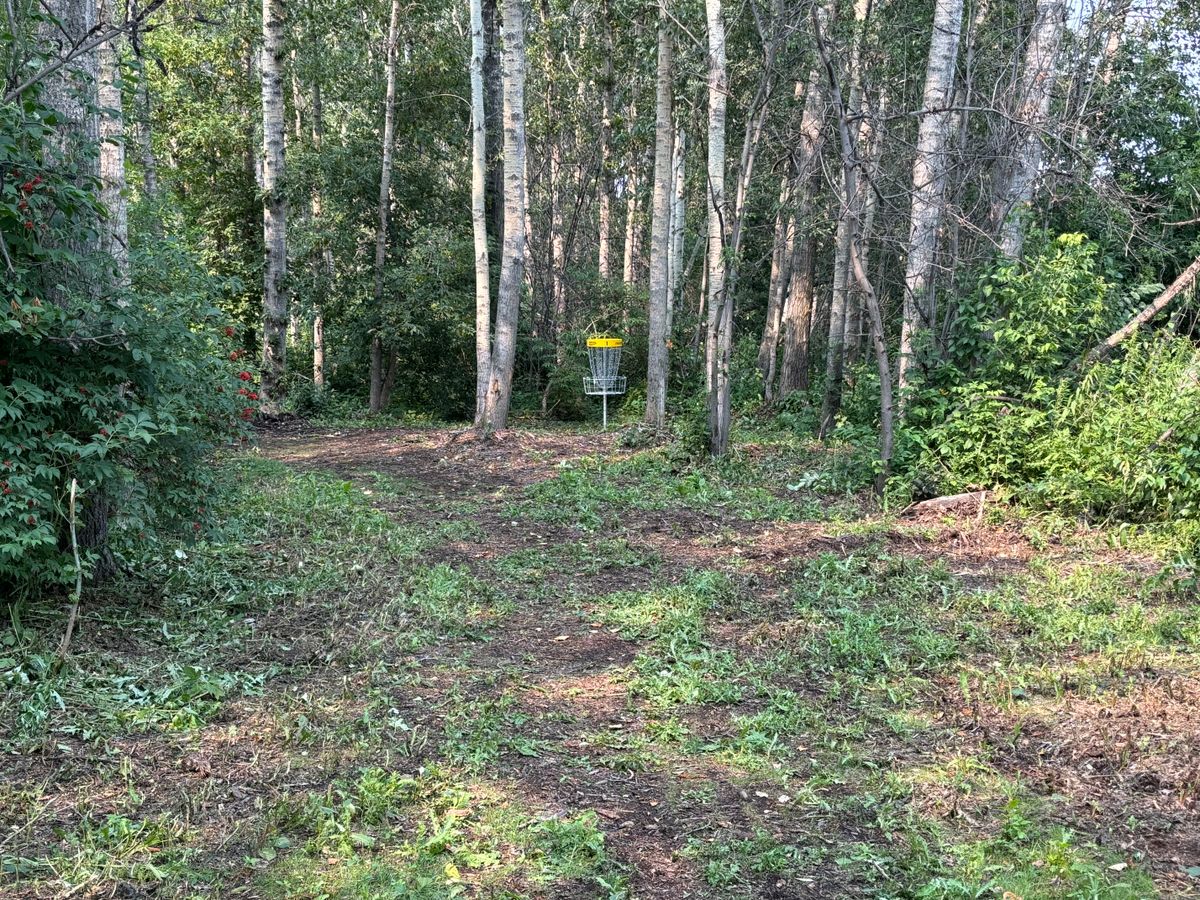 Hole 1 green