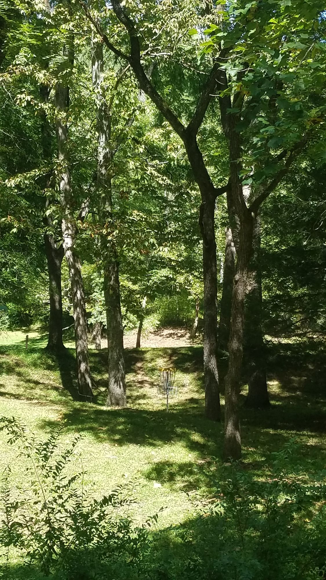 Hole #1 - Long Pin