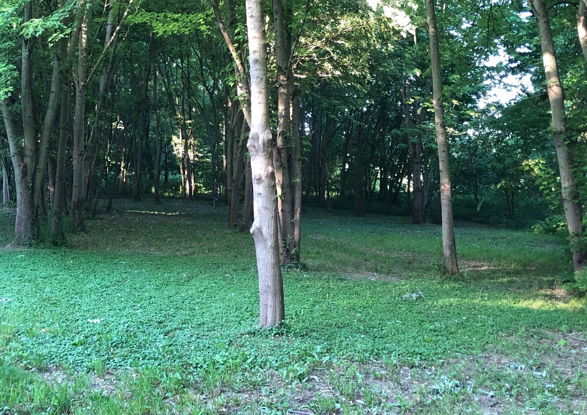 Hole 16 2020