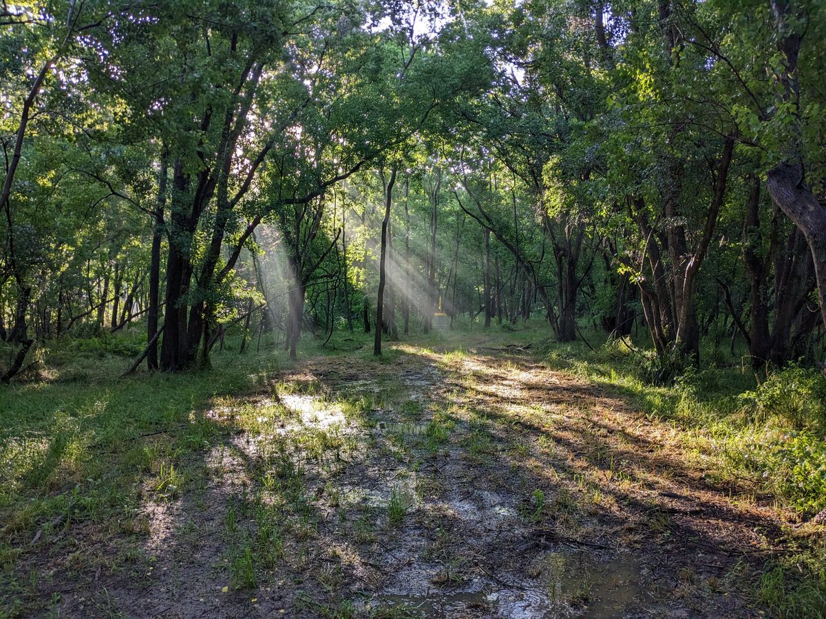 Hole 1 Morning