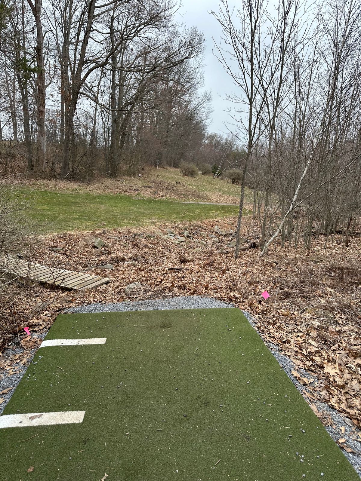 Hole Six Tee