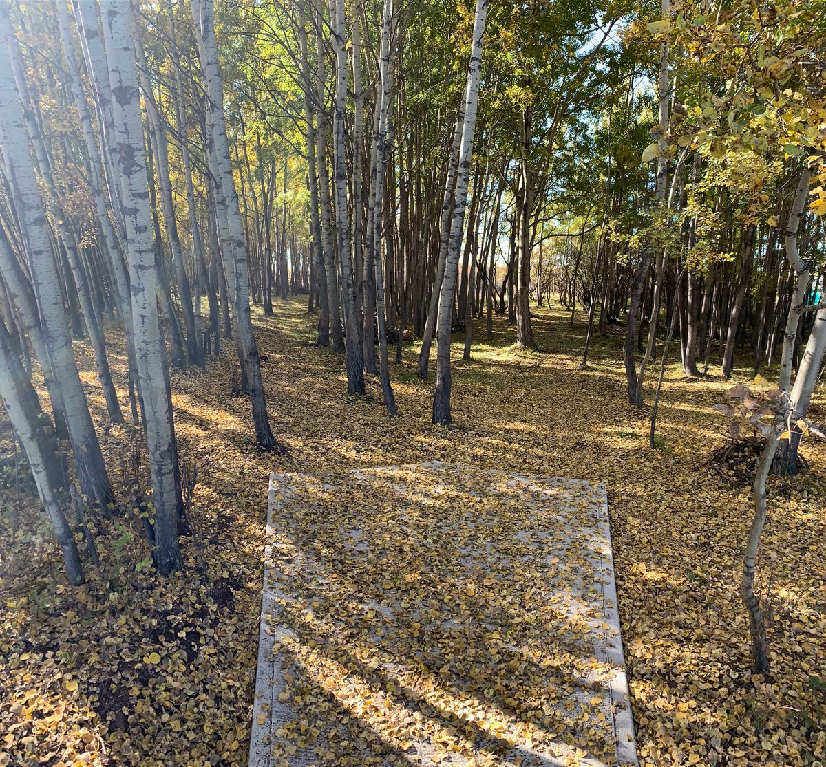 Two playable lines off the tee