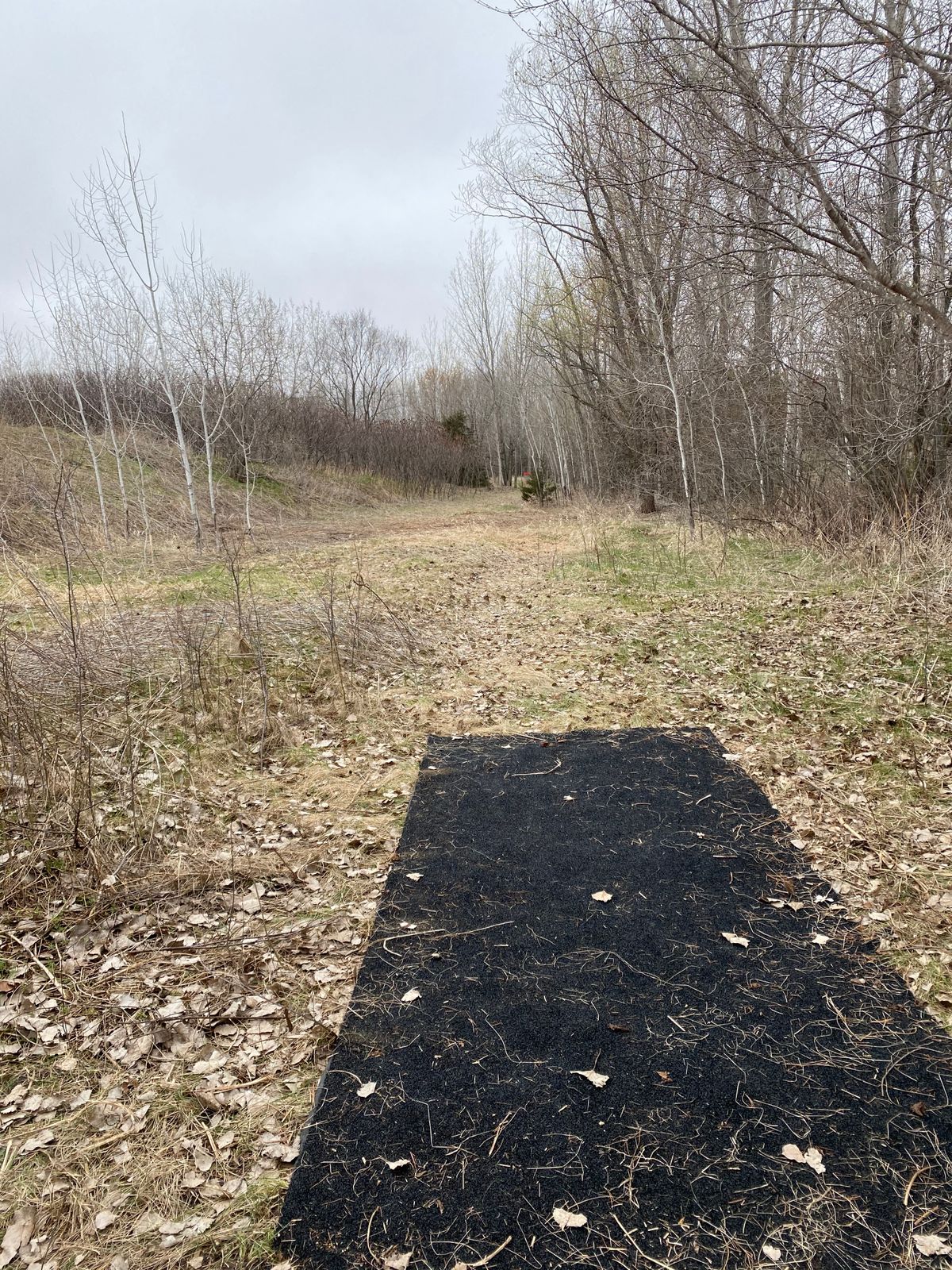 Hole 3 (April 2021)