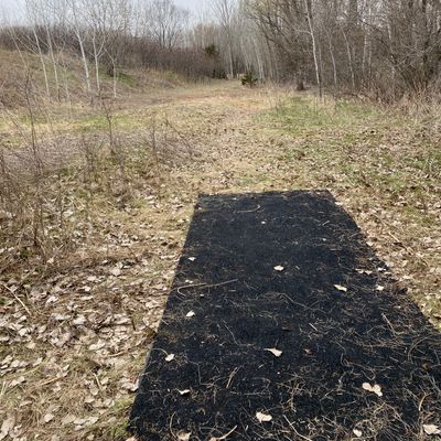 Hole 3 (April 2021)
