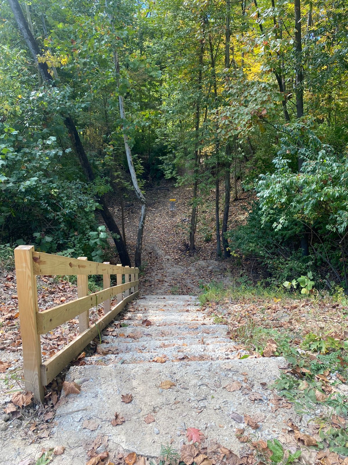 Stairs down to the Basket 04 / 13.