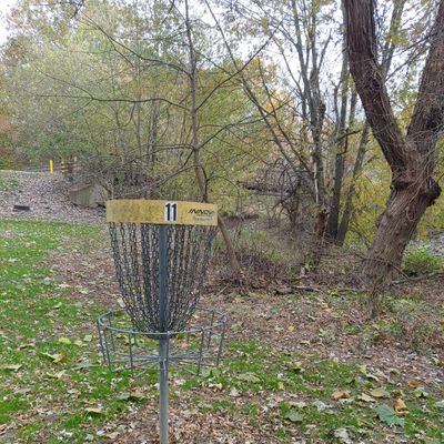 #11's basket. The river is kinda close, within circle 2.
